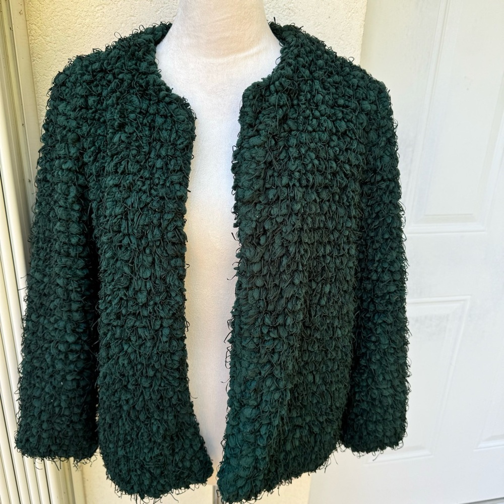 ZARA.  Teddy, Emerald Green Open Jacket. Warm and Cozy. Size Large. Fully lined. - Picture 3 of 14